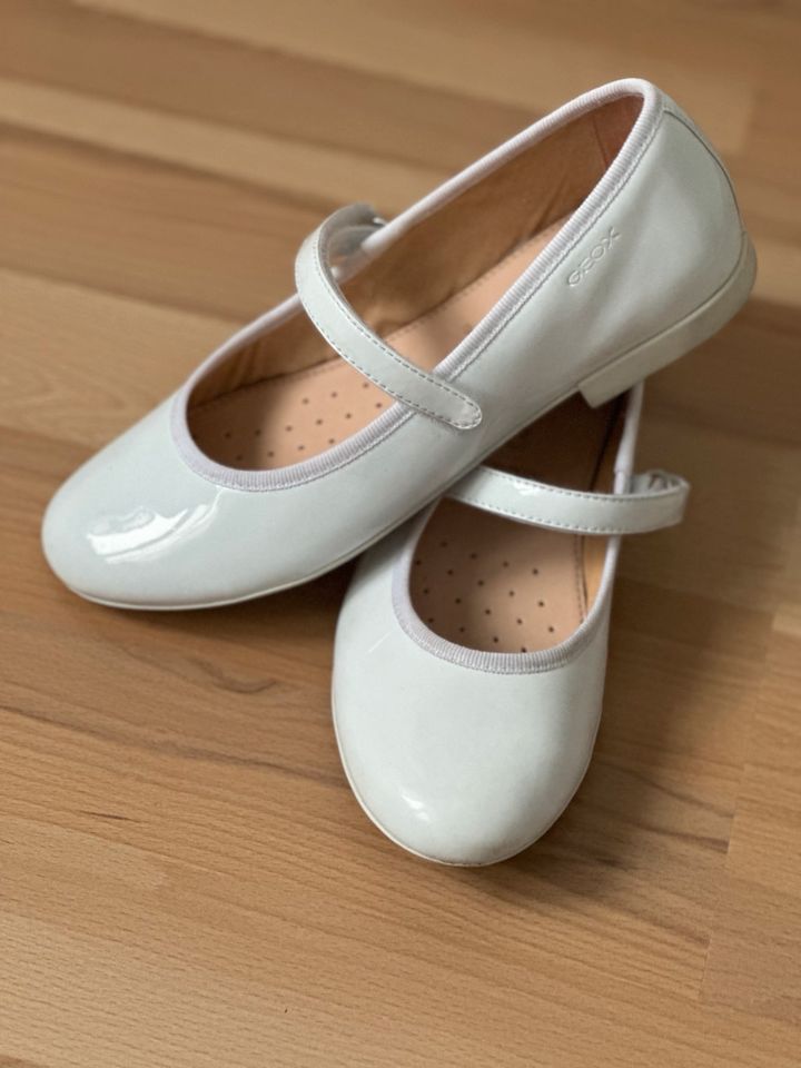 Geox  Ballerinas in Büttelborn