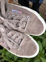 „Superga“: Graue, Unisex Wildleder Sneaker, Gr. 37 München - Ludwigsvorstadt-Isarvorstadt Vorschau