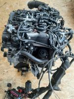 Motor 2.0 TDI DDD AUDI A6 25TKM KOMPLETT Berlin - Wilmersdorf Vorschau