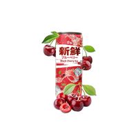 Fresh Black Cherry Ice Erfrischungsgetränk China 330ml Sachsen-Anhalt - Halle Vorschau