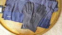 Seidenschal der Marke "Gant" zzgl. Lederhandschuhe Bayern - Freilassing Vorschau