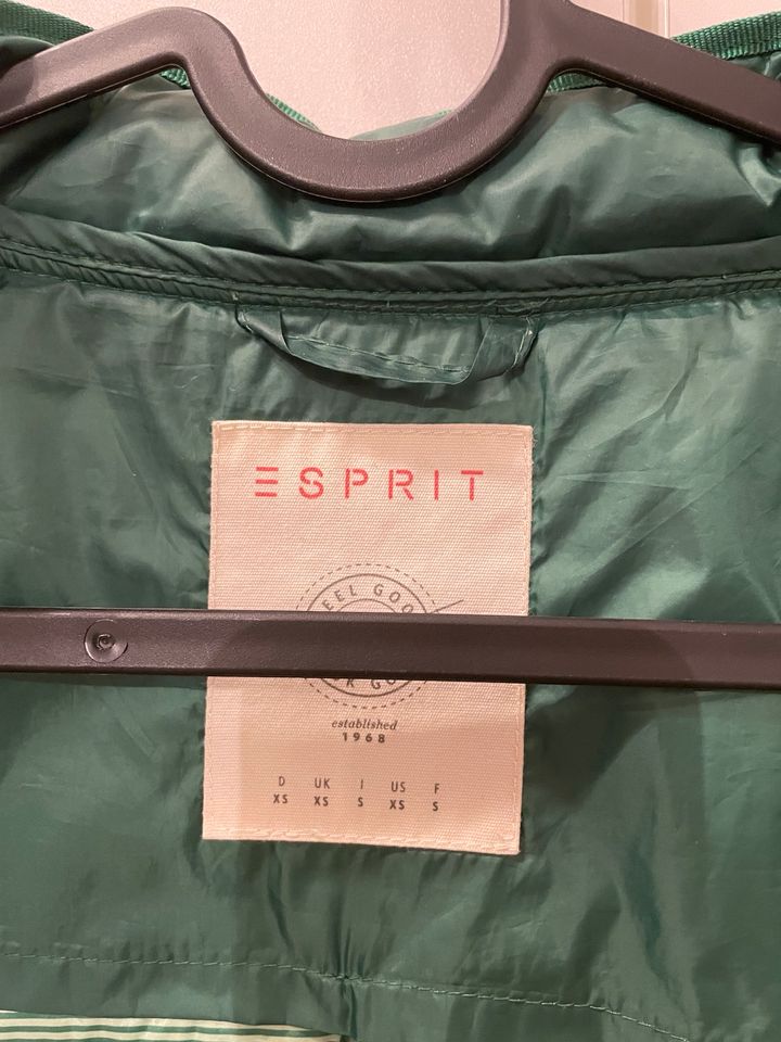 Esprit, Steppjacke, Jacke, grün, 34 in Bayreuth