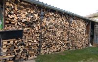 Suche Brennholz Holz Sturmholz Bruch Wind Bayern - Traunstein Vorschau