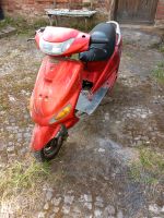 Kymco Roller für Bastler Sachsen-Anhalt - Coswig (Anhalt) Vorschau