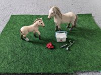 Pferd Tierarzt Set Schleich Dresden - Klotzsche Vorschau