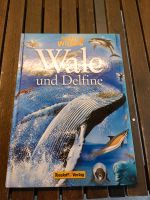 Kinderbuch Wale & Delfine Brandenburg - Gusow-Platkow Vorschau