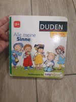 Duden alle meine Sinne ab 12 Monate Kinderbuch Pappbuch Nordrhein-Westfalen - Baesweiler Vorschau