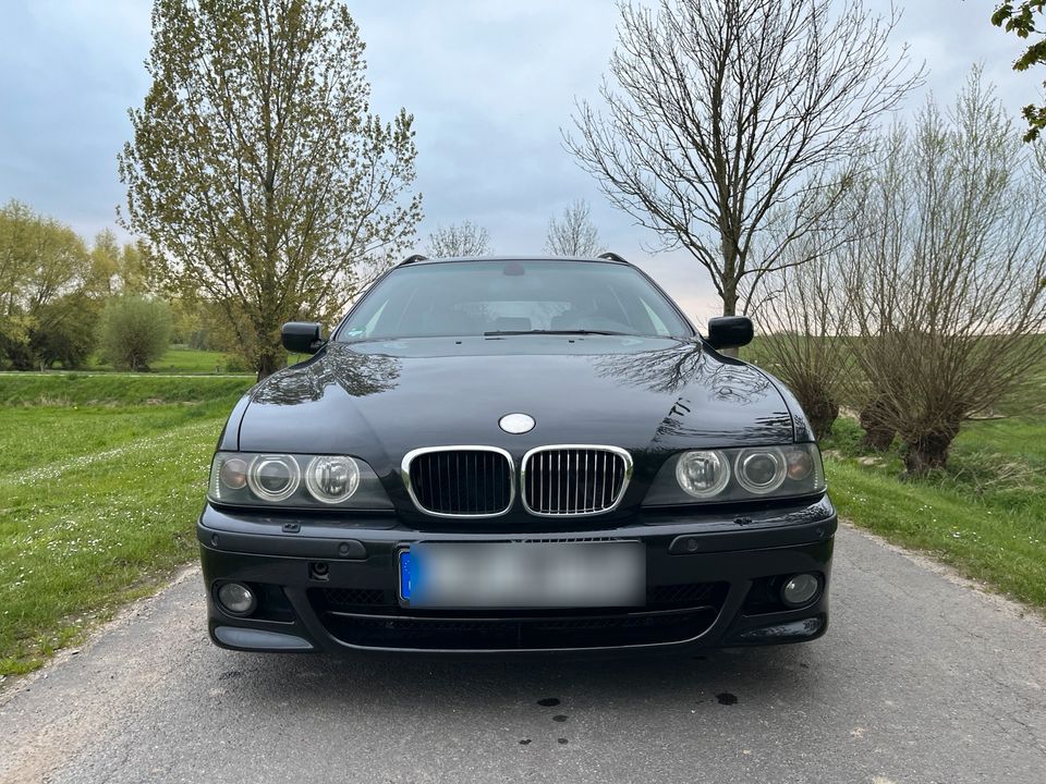 BMW E39 530i Touring M-Paket ab Werk*Schalter*Leder*Klima* in Detmold