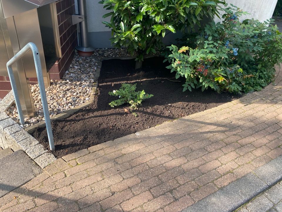 Gartenpflege & Objektpflege, Jahrespflege, Heckenschnitt, Heckenschneiden, Gärtner, Gartenarbeit, Gartenarbeiten, Gartenhelfer, Gartenservice, Hausmeisterdienst, Hausmeisterservice, Objektservice in Solingen