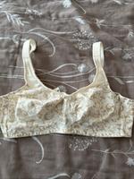 Brustptothesen BH Gr. 85A Neu Nordrhein-Westfalen - Frechen Vorschau