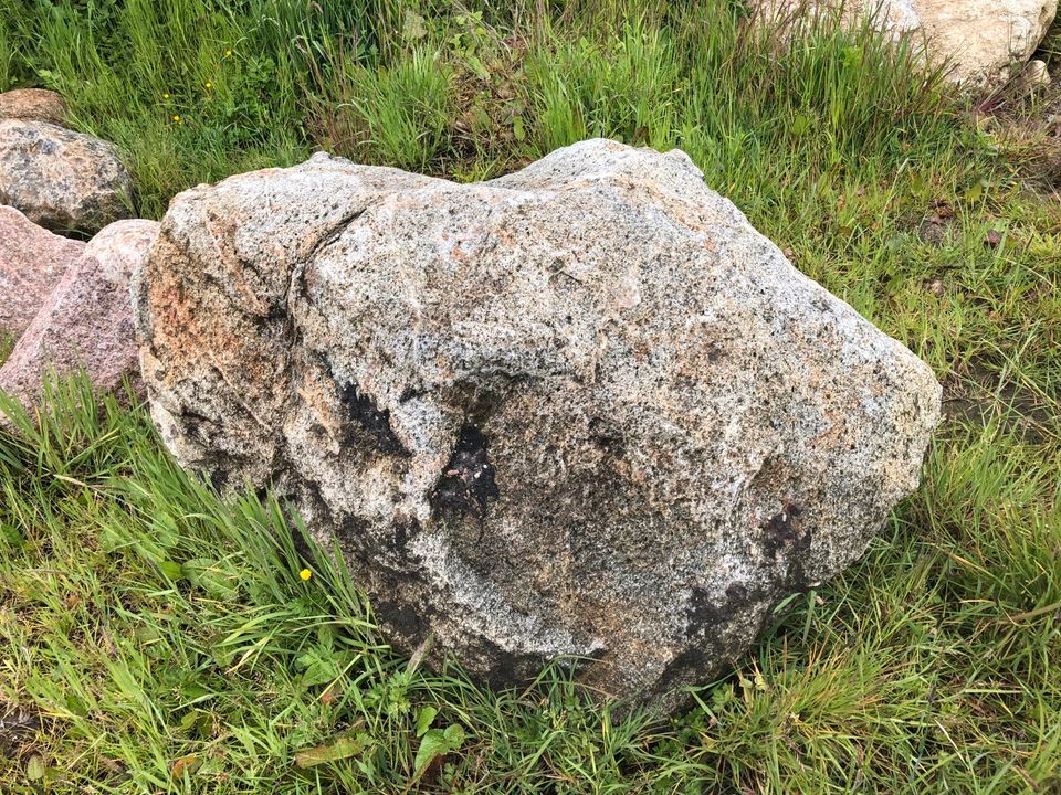 Wegen Geschäftsaufgabe große Findlinge sehr günstig zu verkaufen in Salzhausen