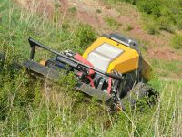 Herder und Timan Mähraupe / Mulchraupe / Funkraupe / Geräteträger Nordrhein-Westfalen - Schmallenberg Vorschau