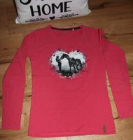 Langarmshirt Shirt Pullover Yigga Gr. 158 164 pink mit Pferd Bayern - Untermerzbach Vorschau