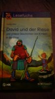 David und der Riese & andere Geschichten von Kindern in der Bibel Hessen - Liederbach Vorschau