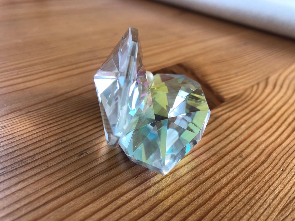 Funkelnde Kristallmuschel mit Perle,Deko in Neukirch/Lausitz