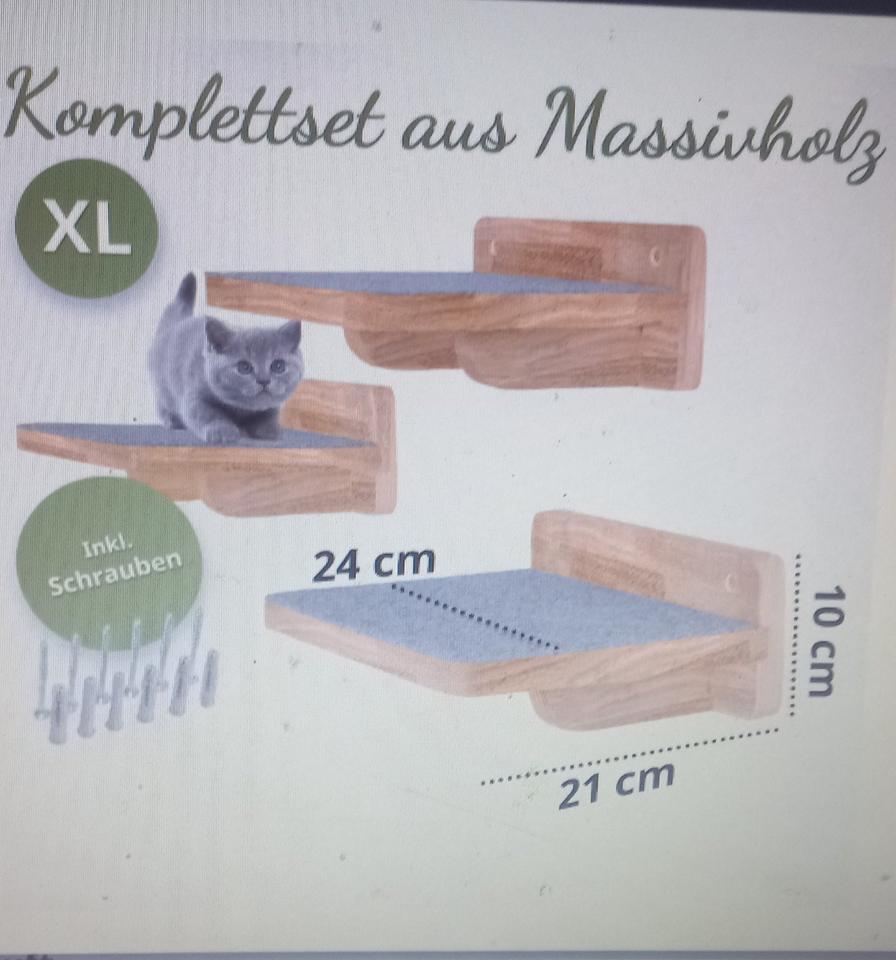Katzenwand Klettern | Catwalk Katze | Katzen Wand Klettern | XL in Berlin