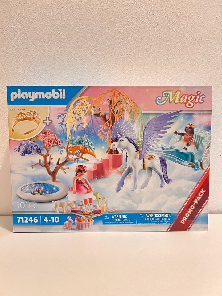 Playmobil Magic 71246 101pc Pony Prinzessin in Ilsfeld