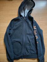 Puma Jacke Hessen - Fritzlar Vorschau