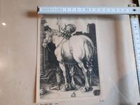 Albrecht Dürer " Das große Pferd" Kupferstich Bayern - Dingolfing Vorschau