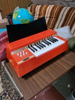 Magnus Electric Chord Organ Hessen - Schmitten Vorschau
