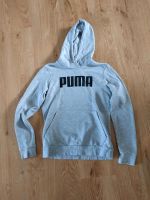 Puma Hoodie Gr. 36 Niedersachsen - Bad Münder am Deister Vorschau