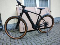 Gebrauchtes Canyon E-MTB Bosch CX 500Wh 48cm schwarz Rheinland-Pfalz - Traben-Trarbach Vorschau