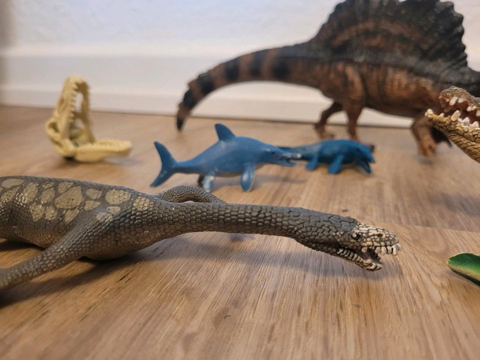 Schleich Meeressaurier Dino Spino Parasuchus Notosaurus in Hamburg