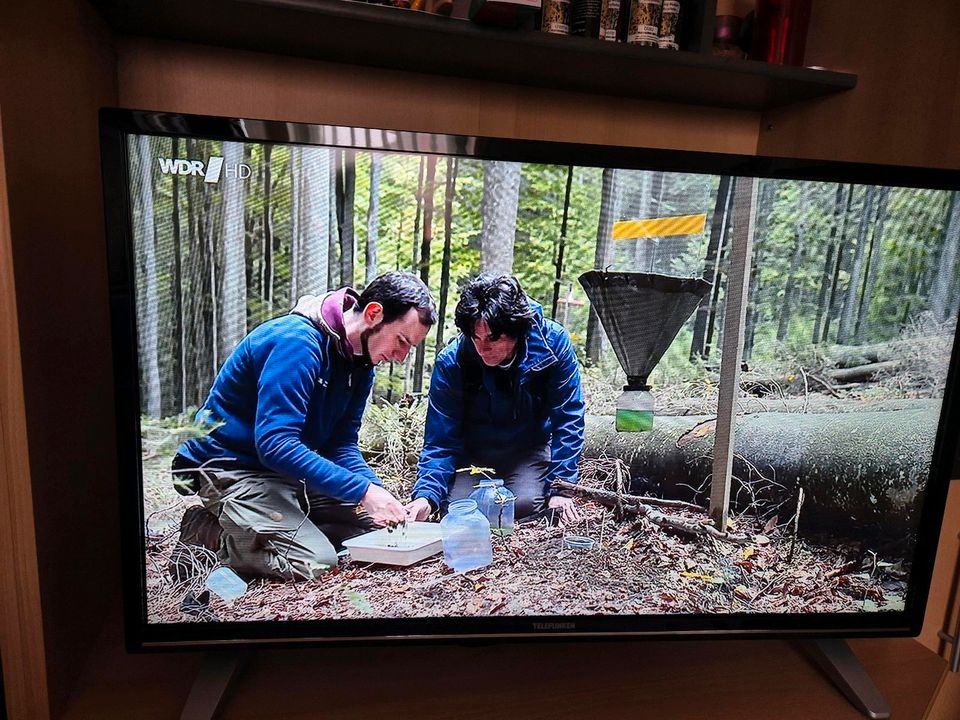 Fernseher Telefunken 32 Zoll / 80 cm in Forst (Lausitz)