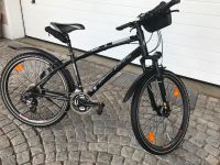 Tecno Bike MTB Urban cycle Rahmen 39 Fahrrad Bayern - Nittenau Vorschau