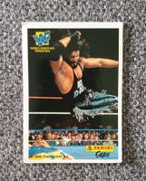 Panini Caps, WWF, Wrestling, 1995 Nordrhein-Westfalen - Bergneustadt Vorschau