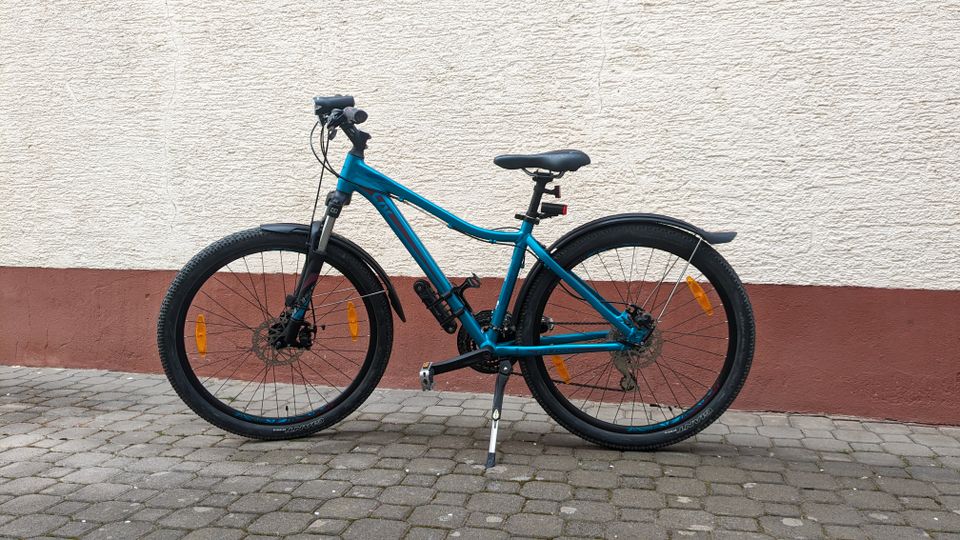 Liv (Giant) Hardtail in Brensbach