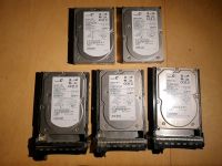 Seagate Cheetah 10k.7 73GB SCSI HDD Festplatte ST373207LC Rheinland-Pfalz - Worms Vorschau