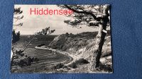 Hiddensee Fotografie S/W Atelier-Karte Echt Foto Niedersachsen - Quakenbrück Vorschau