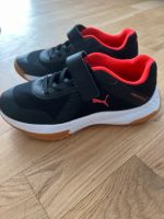 Puma Turnschuhe 36 Aubing-Lochhausen-Langwied - Aubing Vorschau