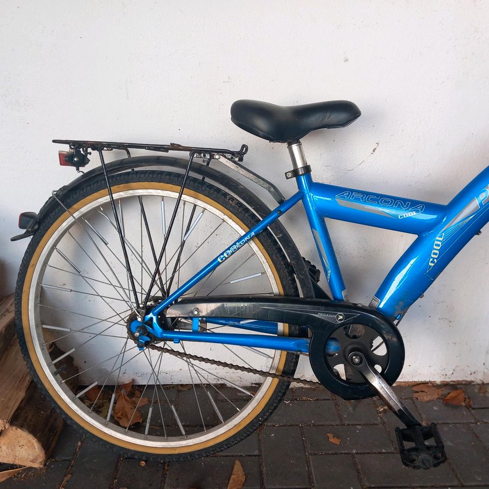 Fahrrad Pegasus 26 Zoll blau in Oldenburg