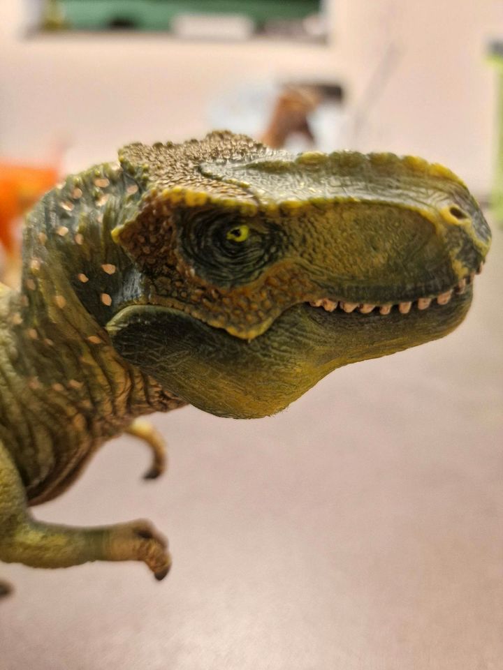 Schleich Tyranosuarus  Rex neuwertig in Aach