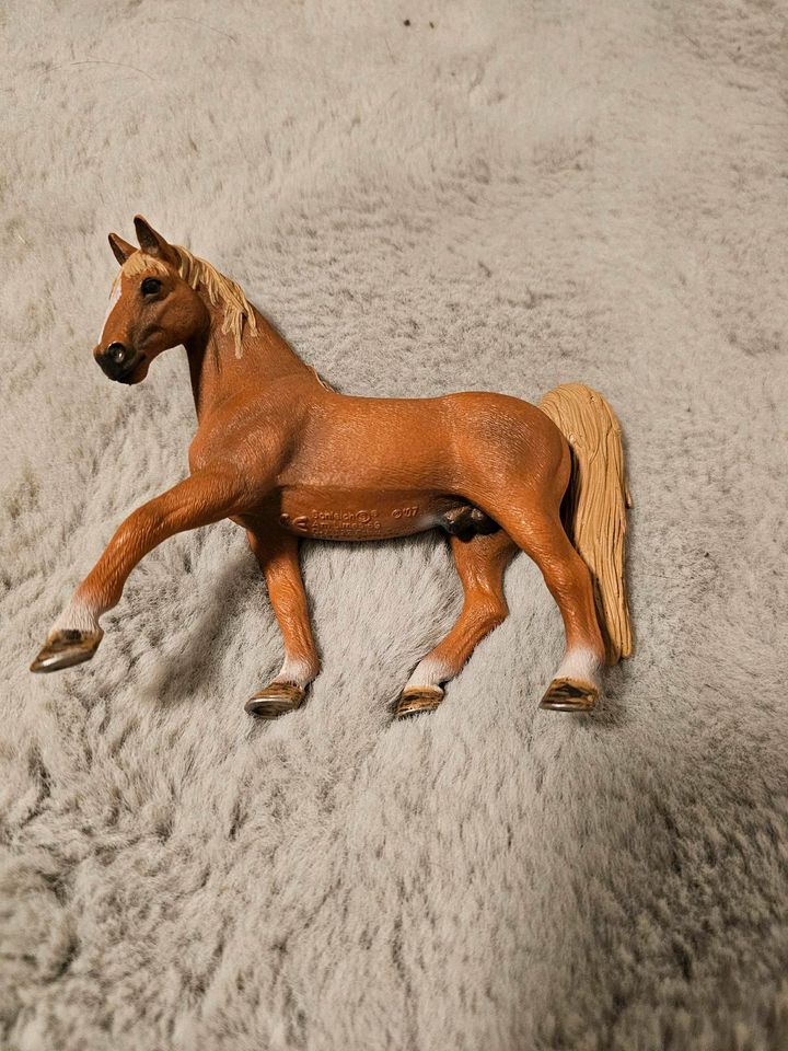 Schleich Tennessee Walker Hengst von 2007 Nr 13631 in Braunschweig