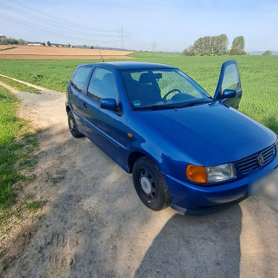 Volkswagen Polo 6N - TÜV 03/25 und Insp. neu in Kornwestheim