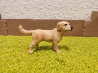 Schleich Tiere Hunde Labrador Retriever Schleswig-Holstein - Kellinghusen Vorschau