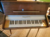 Hohner Organa 30 Vintage Orgel Niedersachsen - Grasberg Vorschau