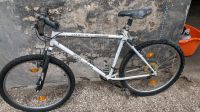 Mountainbike Fahrrad Bayern - Altdorf bei Nürnberg Vorschau