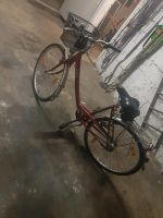 LaDonna Damenrad 28 Zoll 7 Gang Shimano Sachs Baden-Württemberg - Wertheim Vorschau