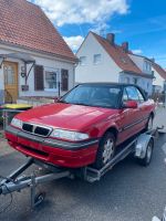 Trailer Autotrailer Autoanhänger Niedersachsen - Ostrhauderfehn Vorschau