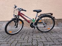 Pegasus Jugendfahrrad 26 Zoll Bayern - Stockheim Oberfr Vorschau