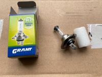 H7 12V Lampe Halogen neu, mit Einbau, sonst 1 Euro Nordrhein-Westfalen - Lüdenscheid Vorschau