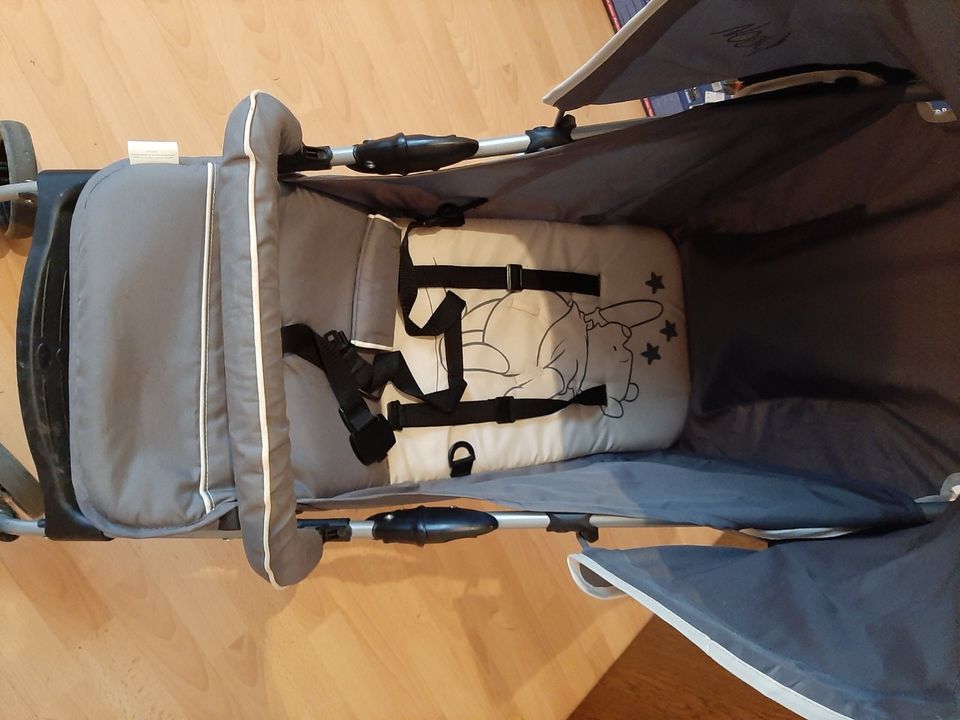 Kinderwagen/Buggy WinniePooh,Fußsack Winter,Regencape in Hille