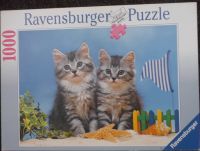 Puzzle 1000 Teile, "2 Kätzchen am Strand im Sand" Nordrhein-Westfalen - Velbert Vorschau