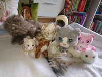 Katzen Kuscheltier Sammlung Sachsen - Ebersbach/Sachsen Vorschau