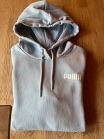 Hoodie Pullover Pulli Puma Gr. 164 ⭐️TOP⭐️ Rheinland-Pfalz - Hamm (Sieg) Vorschau