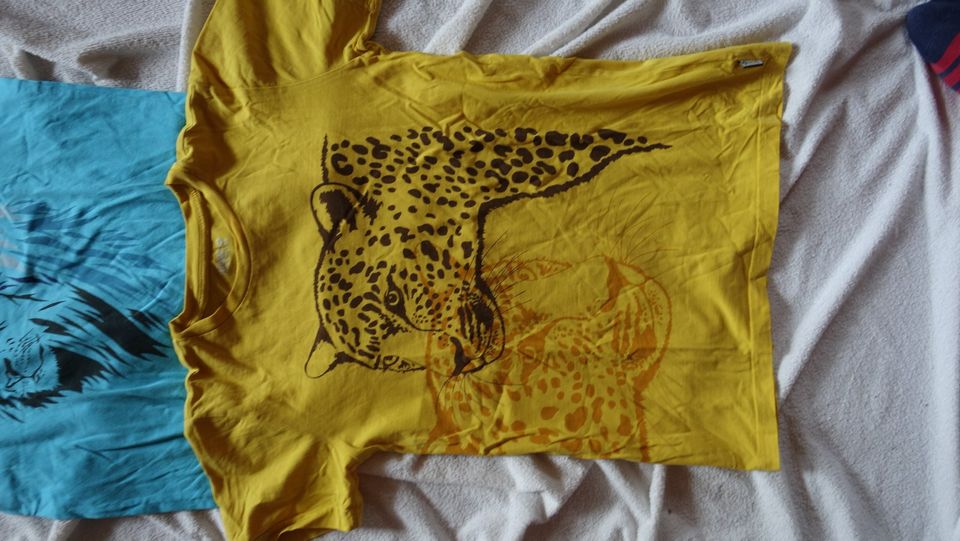 2 coole JAKO-O T-Shirts Leopard gelb Löwe blau 152 158 Sommer in Dresden